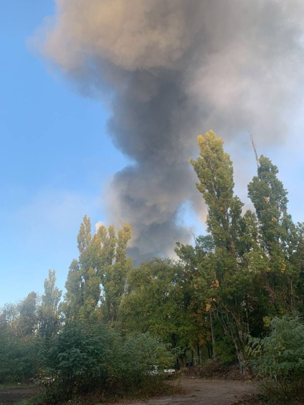 ��� ����� ������� ���������� �� 5 ����� � ��������, ������� ��� ������