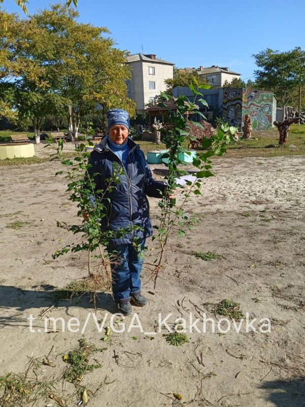 � �������������� �� �������� �������, ������ ������������ ������������