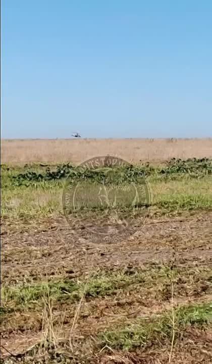 ���������� �����������. ����������� ���� , ���� ������� ���������� �� ������� ����� � ������ ������. ��������� - ������ �������!