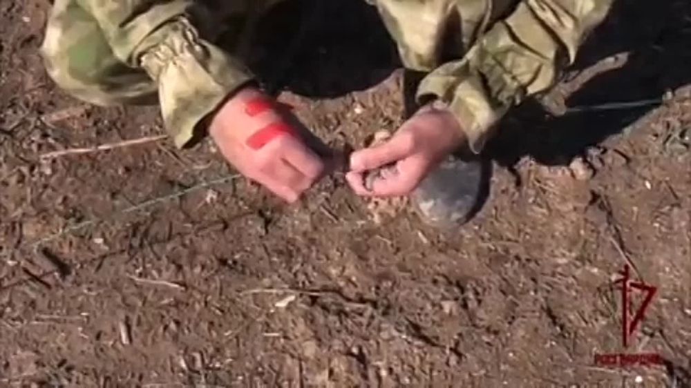 �������� ������ � ���������� �������