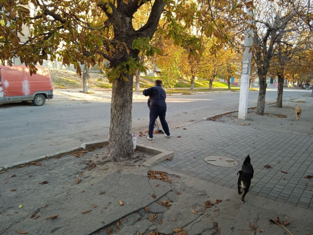 ��� ����� ����� �������, ������� ������ ����� ������ � �����-�������� ��������� �������� �� ����� ���������