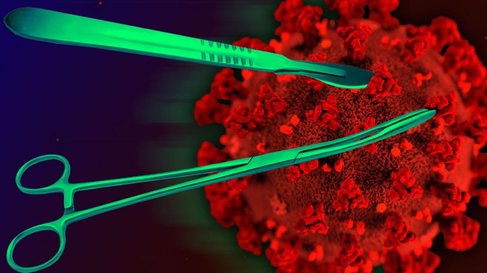 � ��� ������� �����������, ��������� 80% ����������