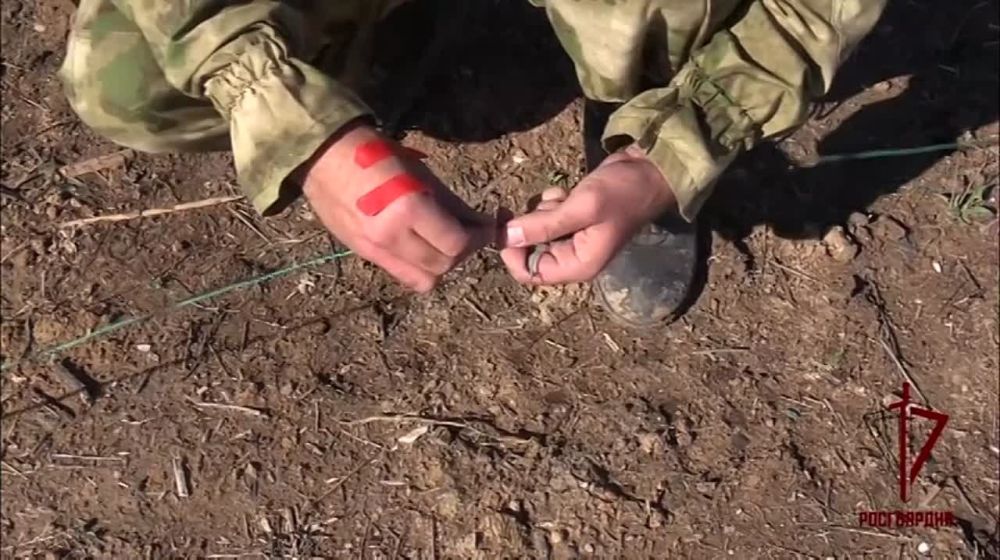 � ���������� ������� ������� ������ - ��� ���������� ���������� ���������� ���. ����� ����������� ��������� 40 �������������� �������� �������� 122 �� � 5 ��������������� �������� ��� ���� �����