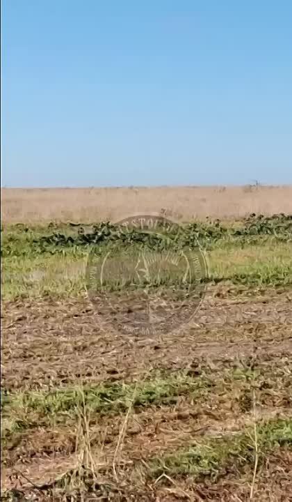 ����������� ���� ���������� ������� ���������� �� ������� ����� � ������ ���