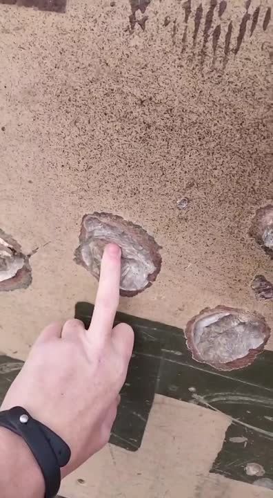 ������������ ���������������� �113�3, ����������� ������� 76-� ����������� ��������-��������� ������� � ���������� �������