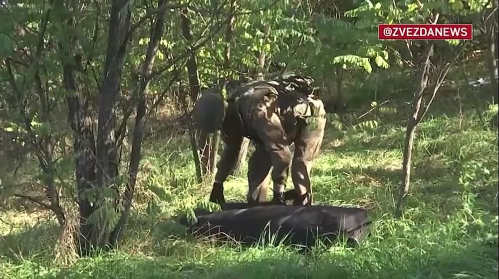 ���������� ����� ��� ����������� - ��������, ������� ������� ����� ���������������� ���������