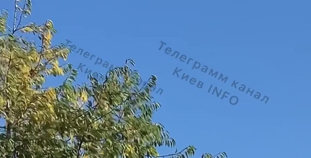 � ������� ����� ����� �������� ������