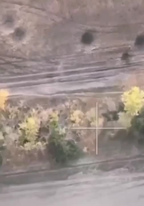 �� ���� ������ ������ ���� �� �� ���������� ��� ����������������� �-113 ��� �� ���������� �����������