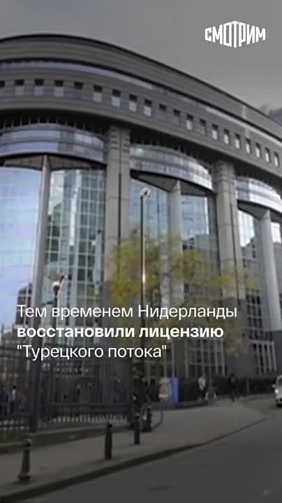 �������� ����� ������ � ���������� �������� ����� ���: