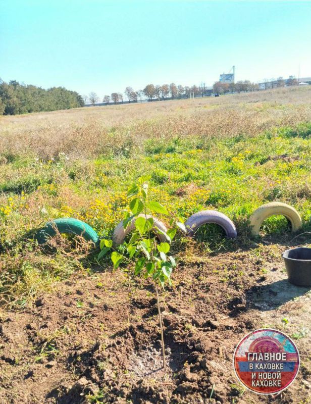 ���������� ���������� ������ ������������ � � ���������� �������� ������� � �����