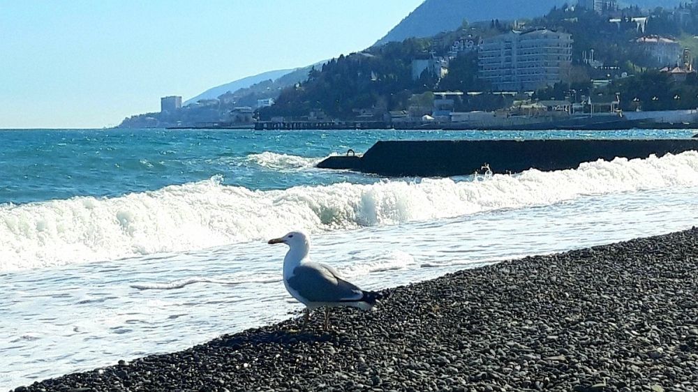 ���������� � ����� ����� �� ���������� ������� �������� �������� �� 3 ������