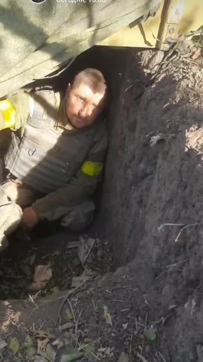 ����� �����: ������� �������. �������� ������� �� ������� ����� ������ �� 83 ������� ���, ������������ �����������