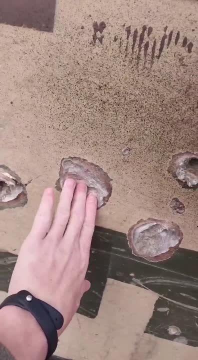 ��������� ���������� �������� ������������ �� ����� ��� ����������� "��������"