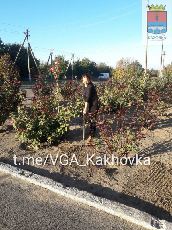 � ������������ �� ������ �������