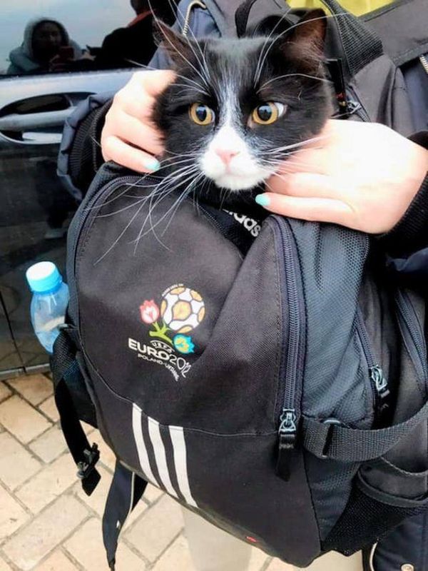 ������� � ������������ ����������, �� �������� ����� ��������!