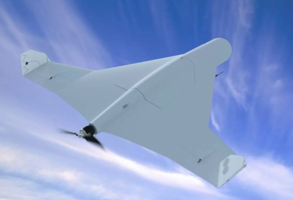 ��� �������: ���������� ������� � ���� ������������ �� ������� ��������� ��������� ����� ������-���������