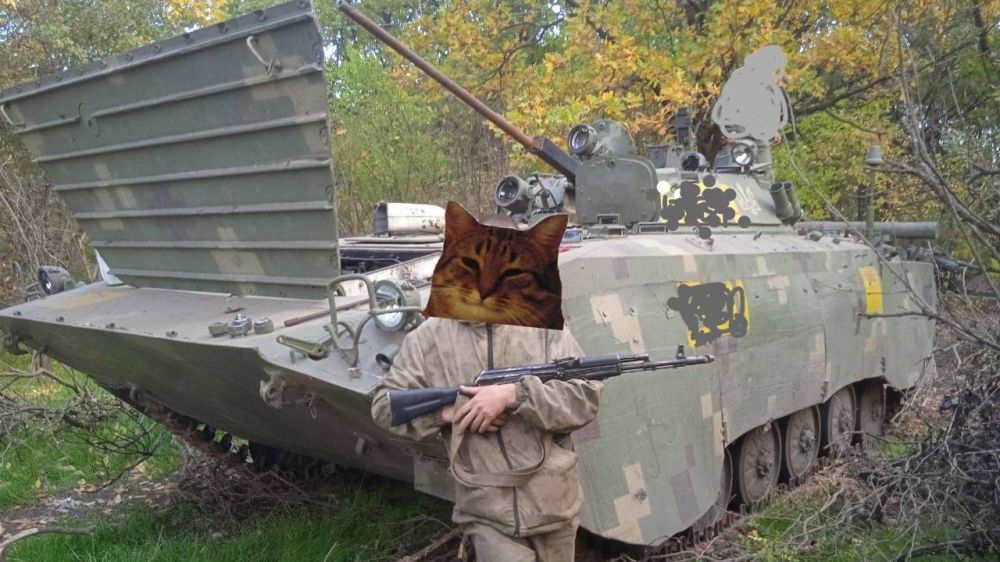 ����������� ���������� ������ ����� ��� � ���������� �������