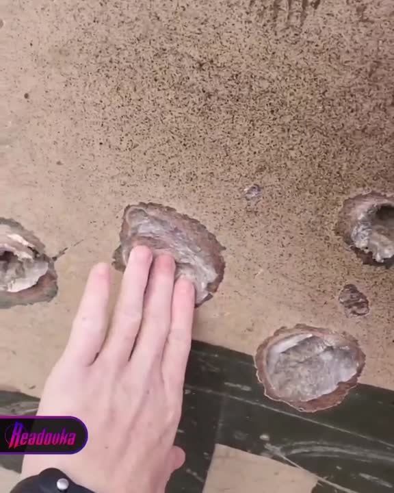 ���������� �������� � ������� ���������� �������� ������������ �� ���������� ������������ ���