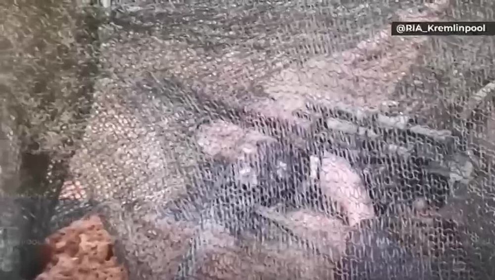 ����� � ����������� ��������