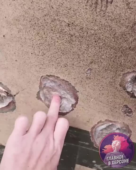 ������� ���������� �������� ������, ���������� �� ���������� ������ � ���������� ��� �113 ������������� ������������