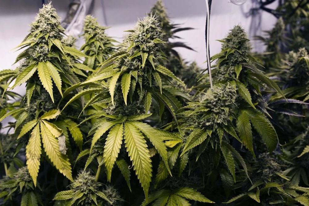 ����������� ������ ������ ���������� � ���������� �������