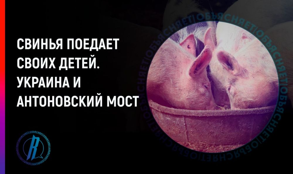 ������ ������� ����� �����