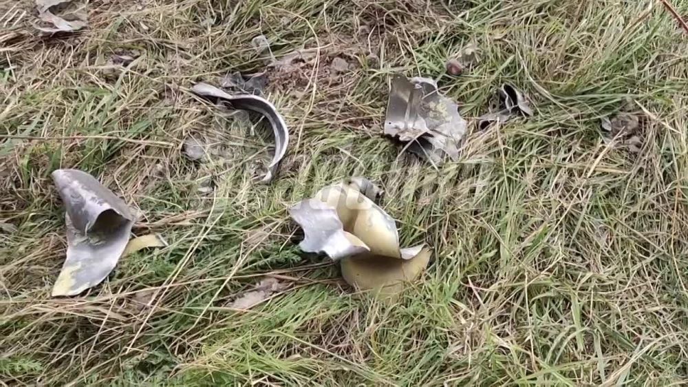 ����������� �������� ����������� ��������� ��������� � ������� � ������������ ����� Readovka