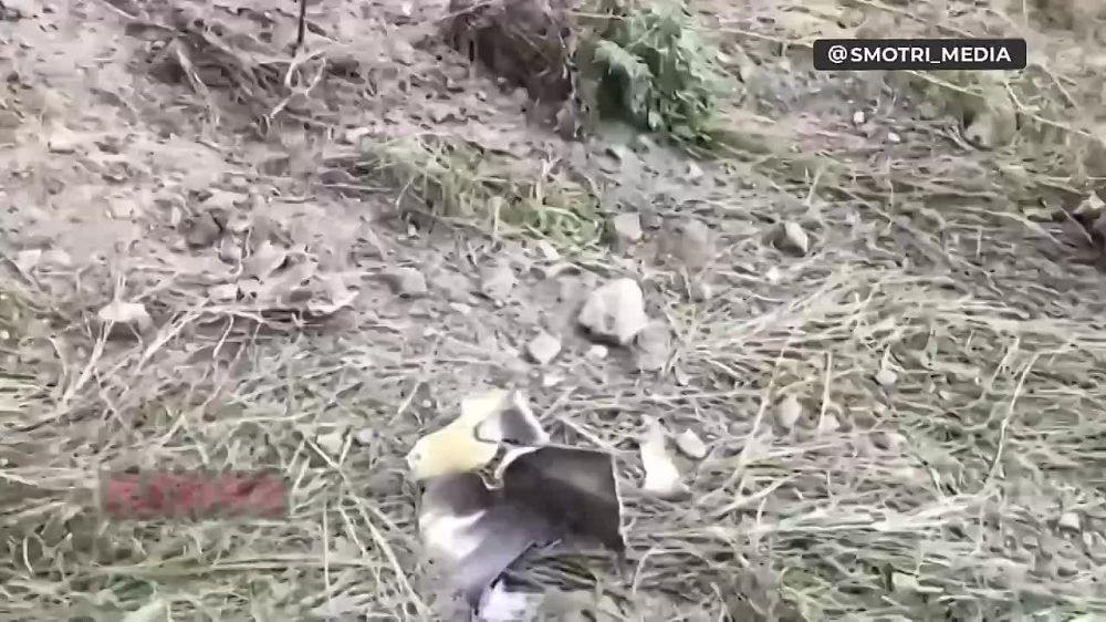 ����� ����������� ����� ��� �� ��������� � ������ ������������ �����