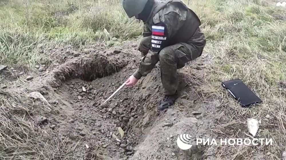 �� ������ ���������� ���������� ������� ����������� ��������� � �������, �������� ������������� ��� �������