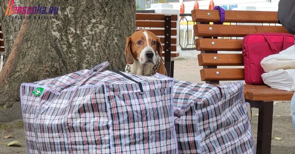 �������� �������� ������������ ������ ������ �� ������ ���������