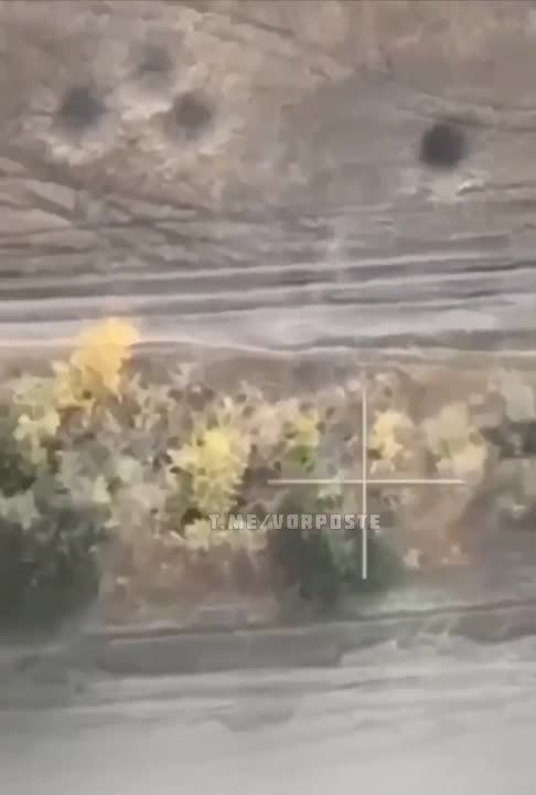 ������ �������: ����� ����� ������, ��� �� ����� �� ���� ? ��� ���� ������� ��������� �� ������ ���������� � ������ � ������������� ��������