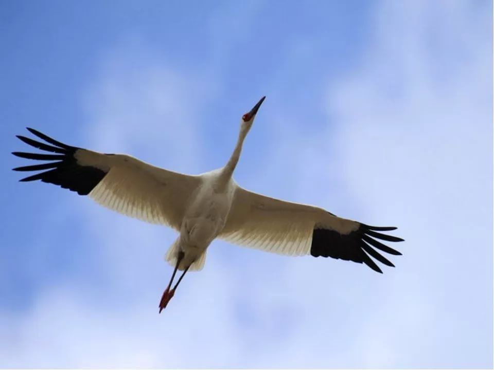 22 ������� � ������ �������� �������� ����� ��������