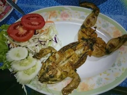 ������ � ��� ������� ����� ���������� ����� ������ ��������