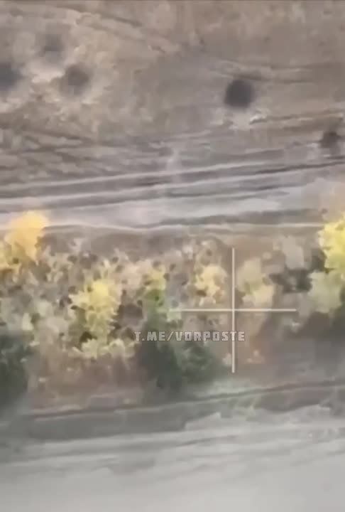 ��� ���� ������� ������ ��������� �� ���������� ������ ���������� ���������