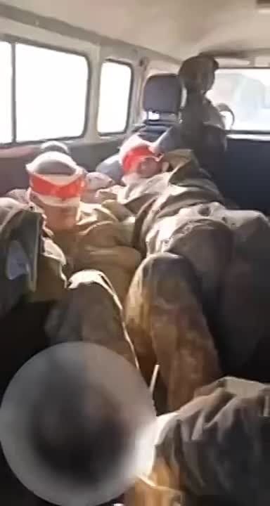 ������ ����������: ������ ������� � ������� ������ - ������ ������� ����������� �� ���������� �����������