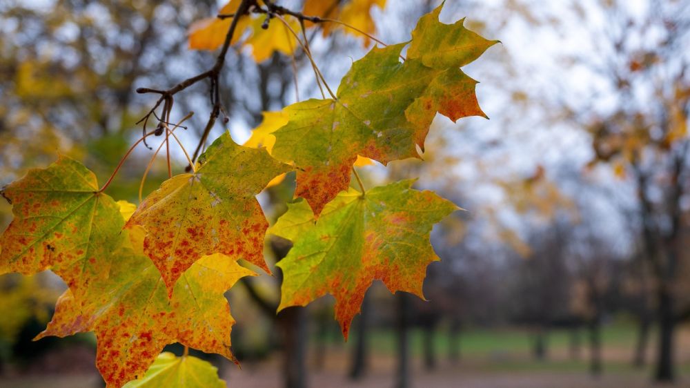 ���������������� ����� ������ �������� ������ ��� ����� �������� ��