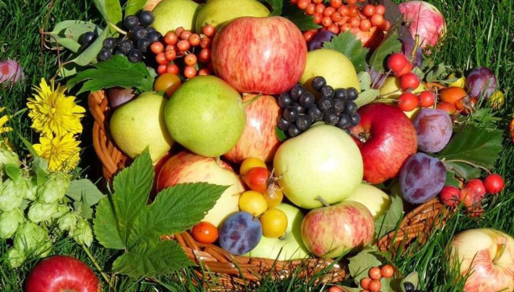 ����� � �������� ���������!