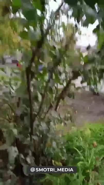 ������ ����� � ����� ������� � �������