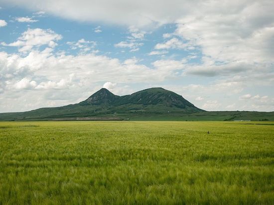 ������������ �� ���������� ������� ������ �������� �������� ����������� �� �����������