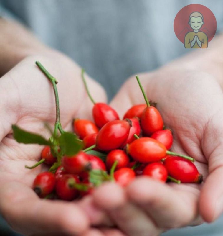 ������� ��� �������� �����������