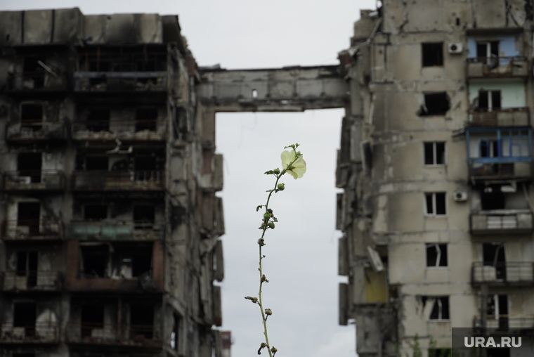 ����� ���������� ��������� ������� ������������ �� ����������� � �������