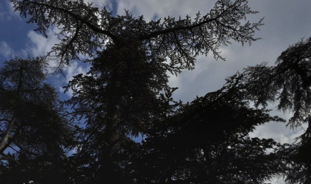 ��� ��������� 19 ����� �� ����� ������� ���������� �������