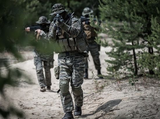 ����������: � ���������� ������� ��������� ������ ���������� �����������