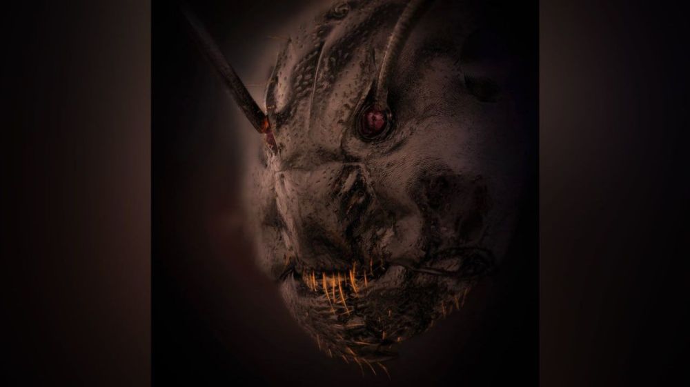 ��� �� ���� �� ������������ ��������