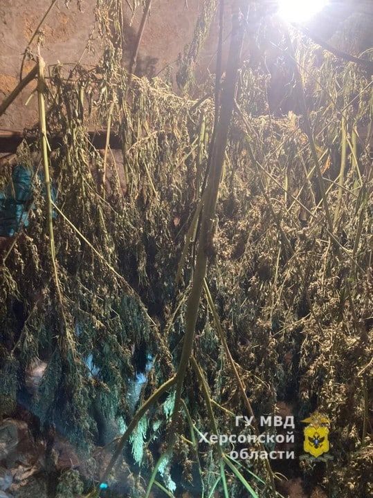 � ���������� ������ ������������ ���������� � ������ �������������� � ������������ ��������� �������