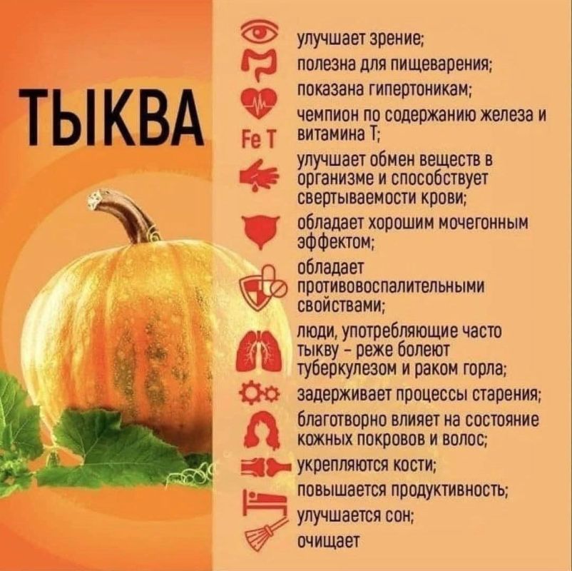 ����� - ����� �������� ����