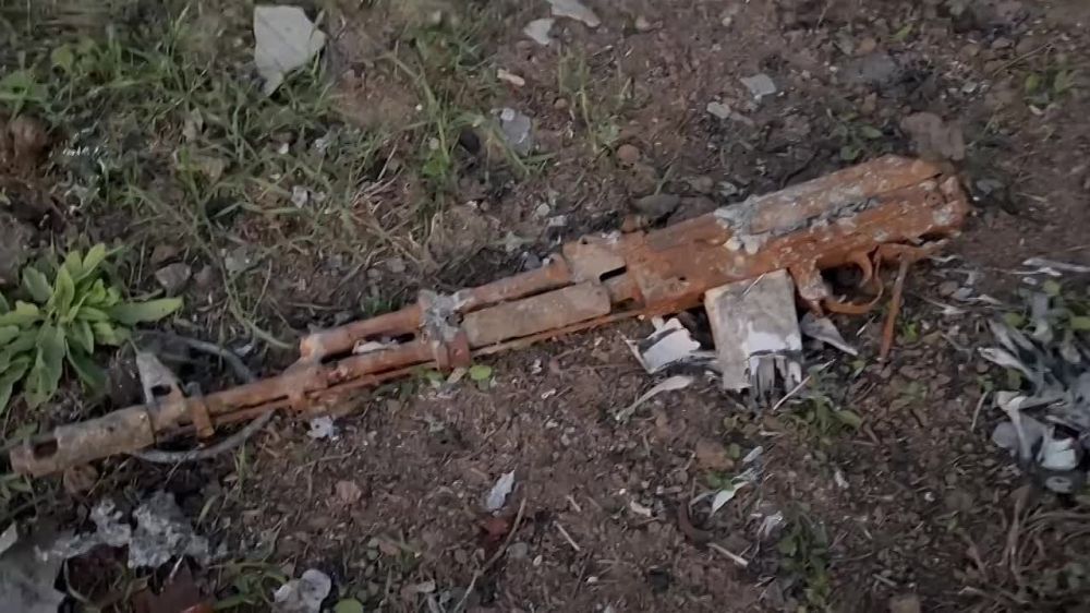 ������ ����������: ��������� ������� �� ���������� �����������