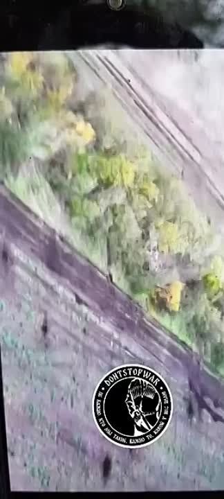 ���� ����������� , ���� ���������������