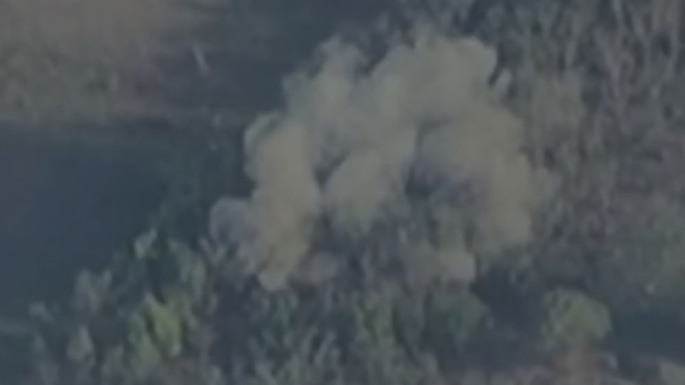 �����: ���������� ���������� ����������� ������� ������ ���������� ���� ����������