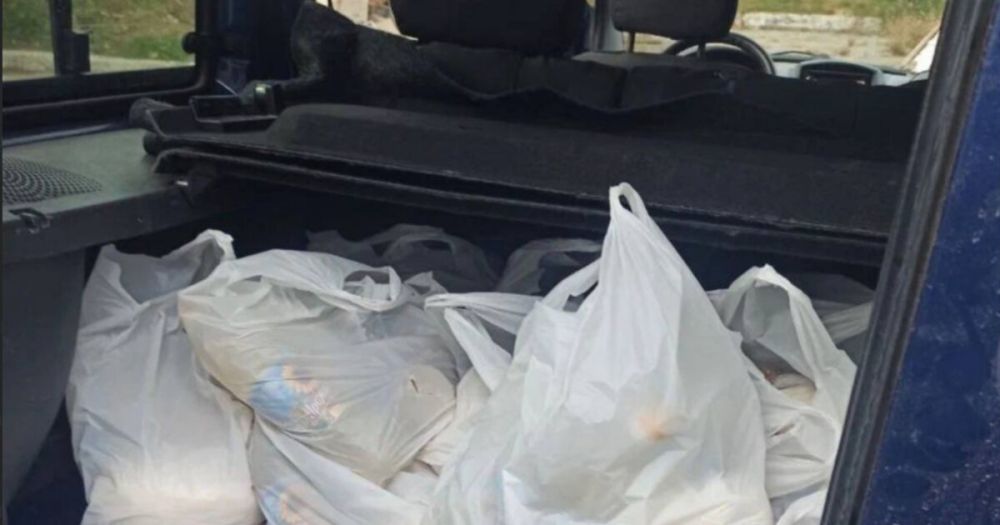 ������, ������� �������� � �������, �������� ���������